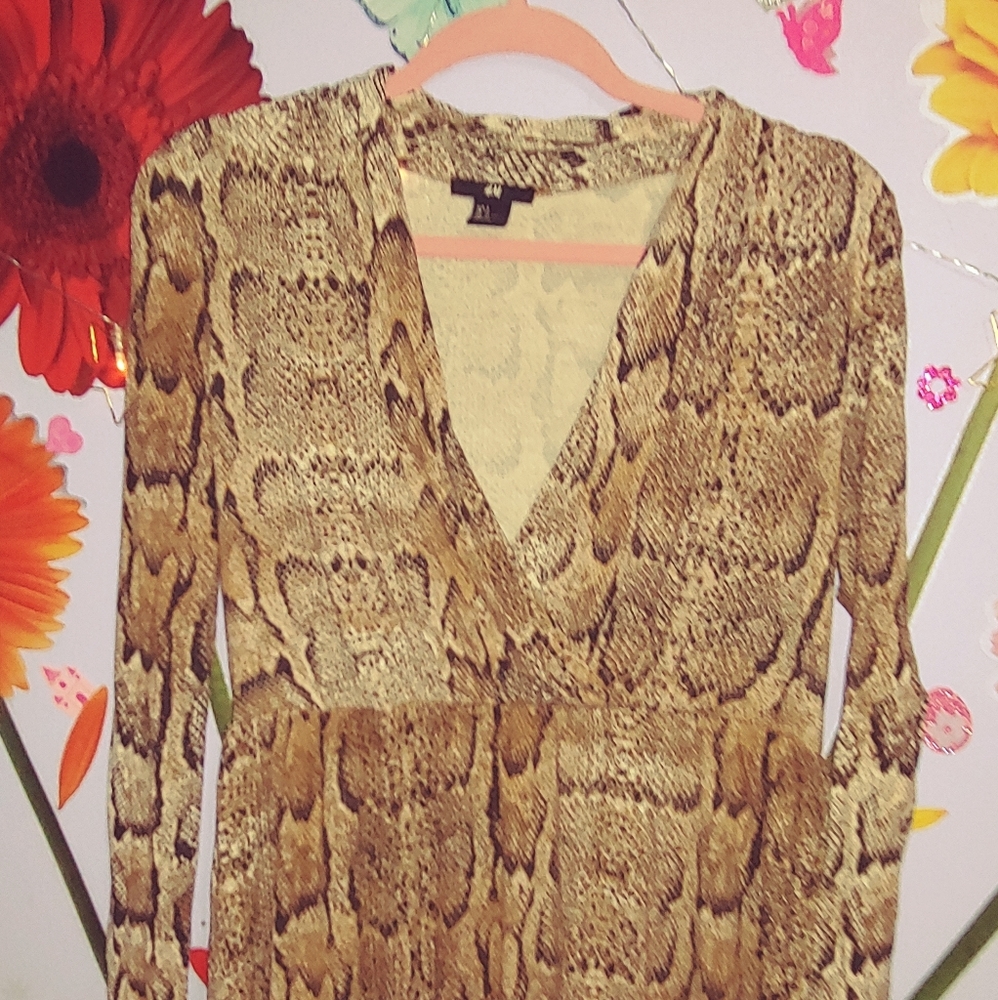 H&M dress